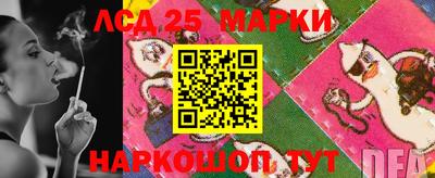 прущие грибы Камышлов