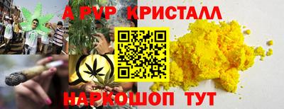прущие грибы Камышлов