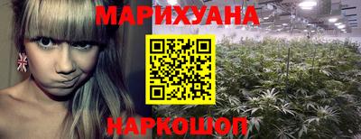 прущие грибы Камышлов