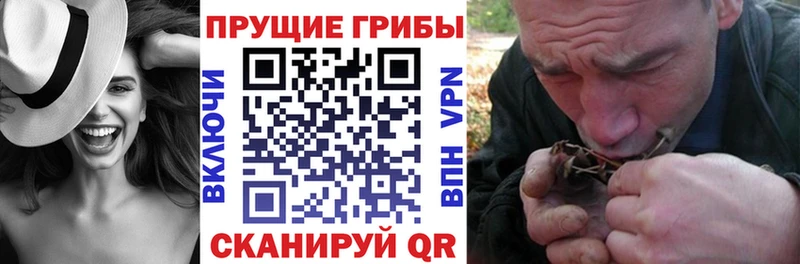 МЕГА как зайти  Моздок  Галлюциногенные грибы Magic Shrooms 