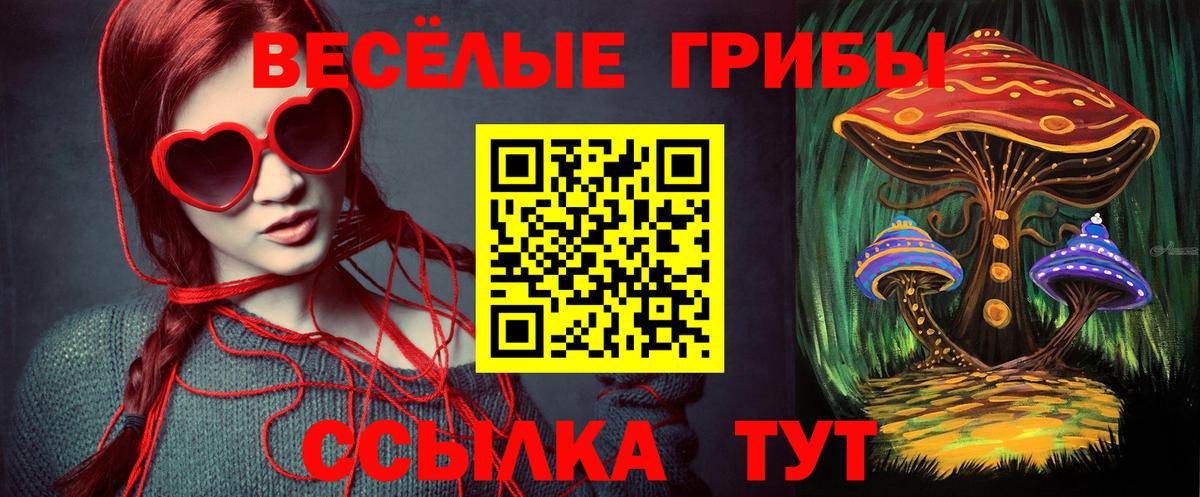 Моздок  Псилоцибиновые грибы прущие грибы  Вход с VPN 