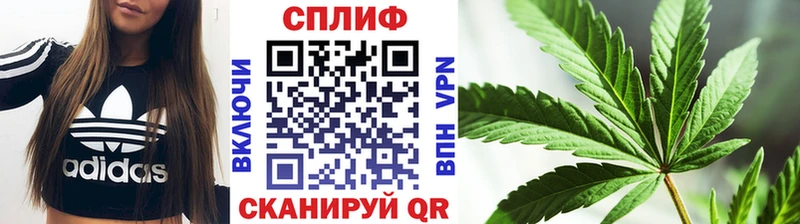 Бошки Шишки Ganja Моздок